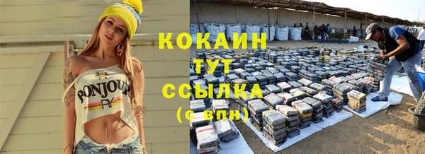 дживик Баксан