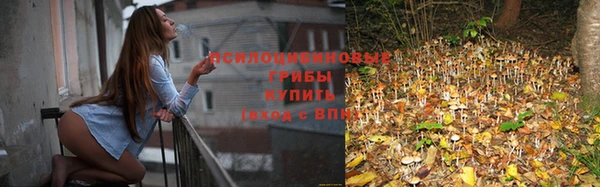 дживик Баксан