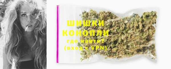 дживик Баксан