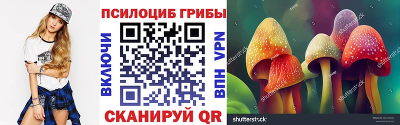 хочу   блэк спрут   Псилоцибиновые грибы Psilocybine cubensis  Кушва 